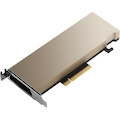 HPE NVIDIA A2 Graphic Card - 16 GB GDDR6 - Low-profile