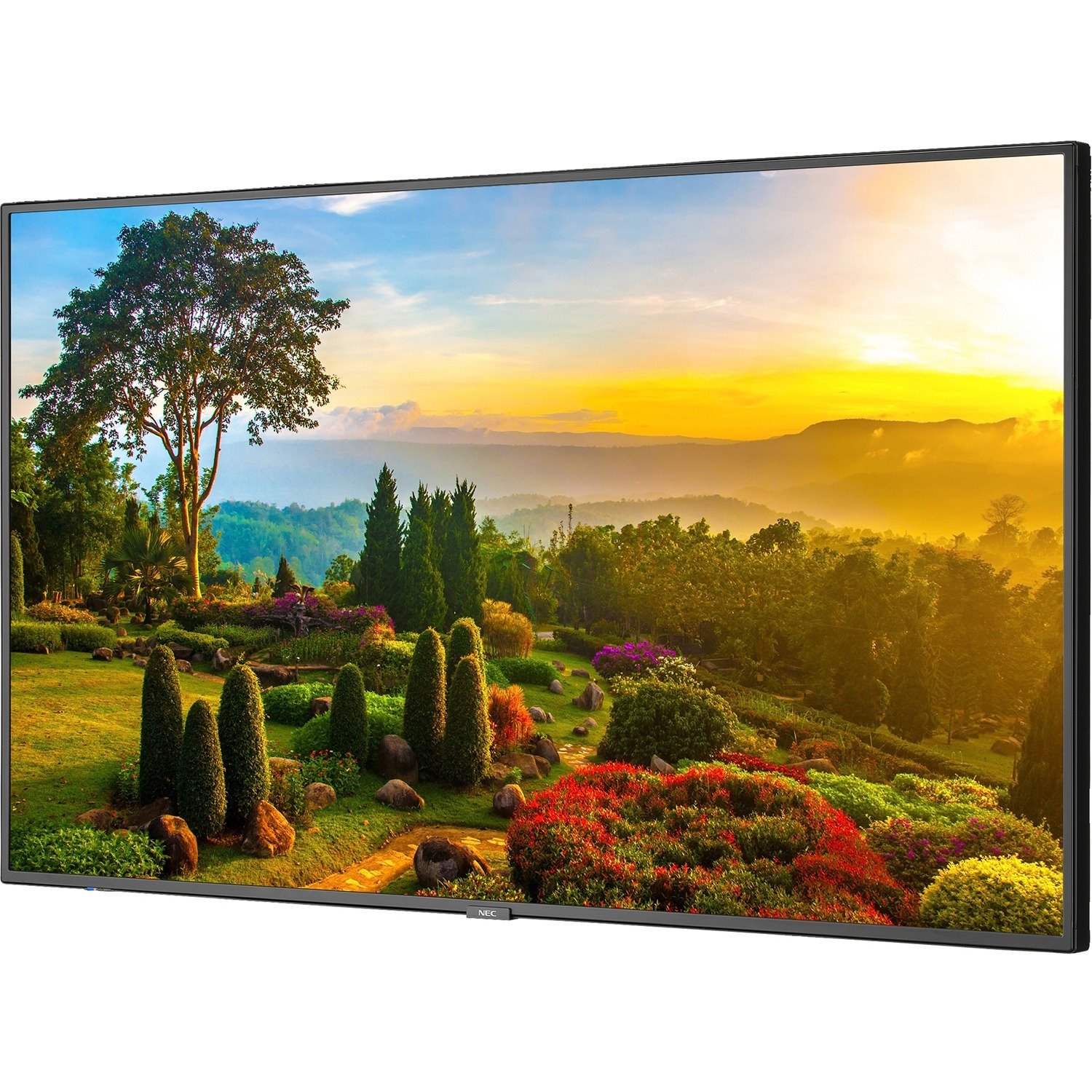 NEC Display 55" Ultra High Definition Professional Display with Integrated ATSC/NTSC Tuner