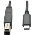 Eaton Tripp Lite Series USB-C to USB-B Cable (M/M) - USB 3.2, Gen 2 (10 Gbps), Thunderbolt 3 Compatible, 3 ft. (0.91 m)