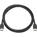 HP 2.01 m DisplayPort A/V Cable for Audio/Video Device