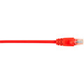Black Box CAT5e Value Line Patch Cable, Stranded, Red, 25-ft. (7.5-m), 5-Pack