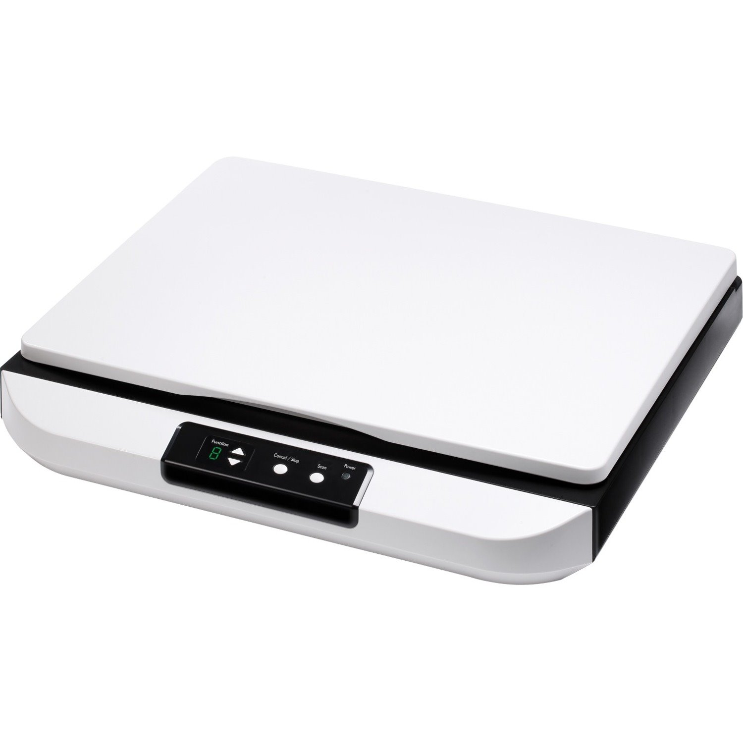 Avision FB5000 Flatbed Scanner - 600 dpi Optical