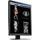 EIZO RadiForce MX216-BK 21" Class LCD Monitor - 3:4 - Black