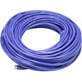 Monoprice Cat5e 24AWG UTP Ethernet Network Patch Cable, 100ft Purple