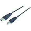 Comsol 5 m USB Data Transfer Cable for Printer, Scanner, Hub, PC