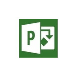 Microsoft Project 2019 Professional - Box Pack - 1 PC - Medialess