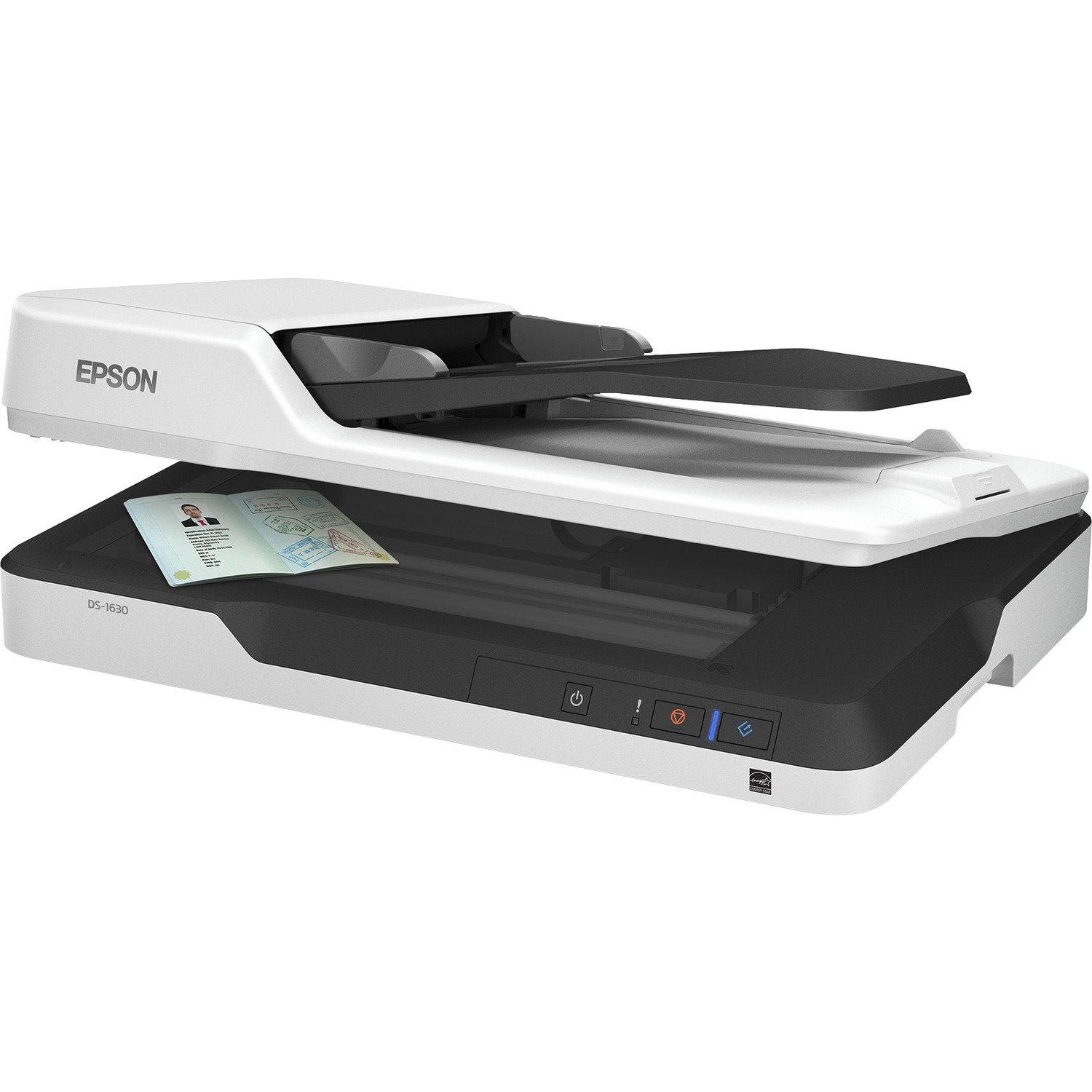 Epson WorkForce DS-1630 Flatbed Scanner - 600 dpi Optical