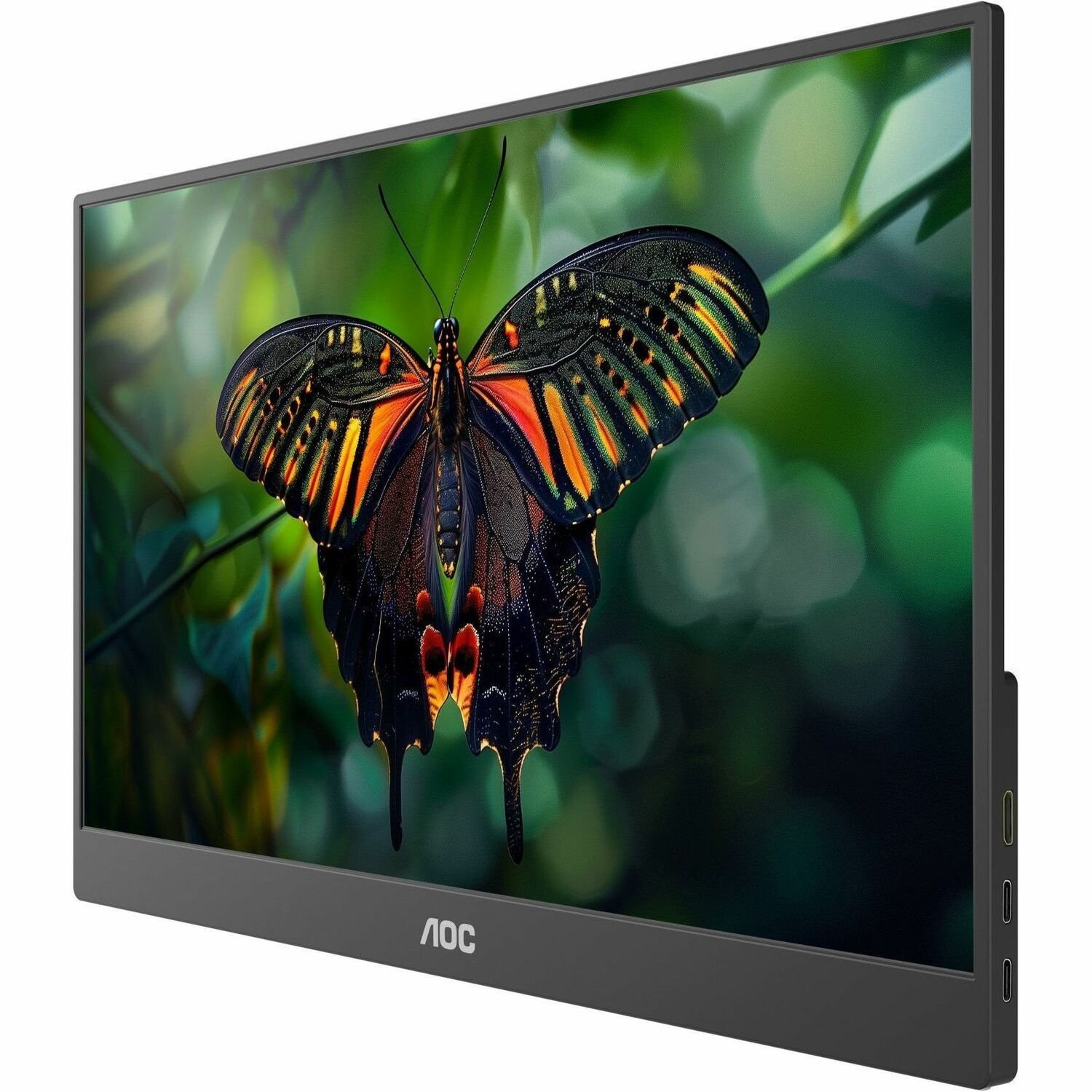 AOC 16T10 16" Class Full HD LCD Monitor - 16:9 - Black