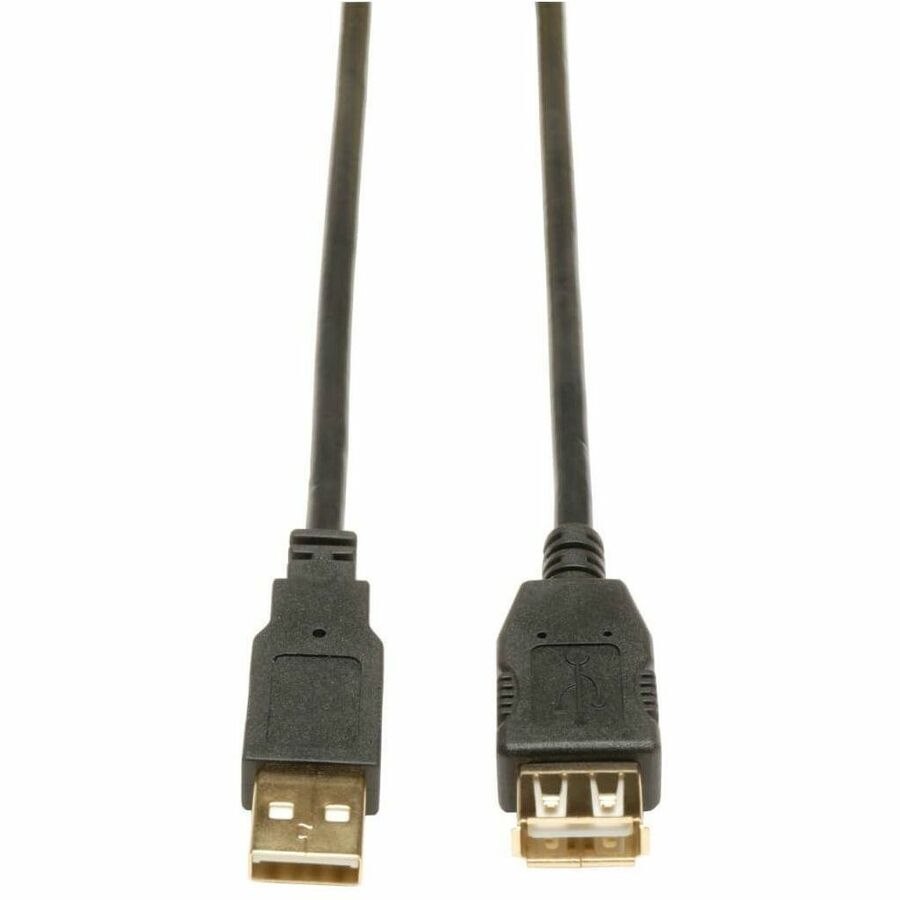 Tripp Lite by Eaton U024-010 3.05 m USB Data Transfer Cable - 1 Each