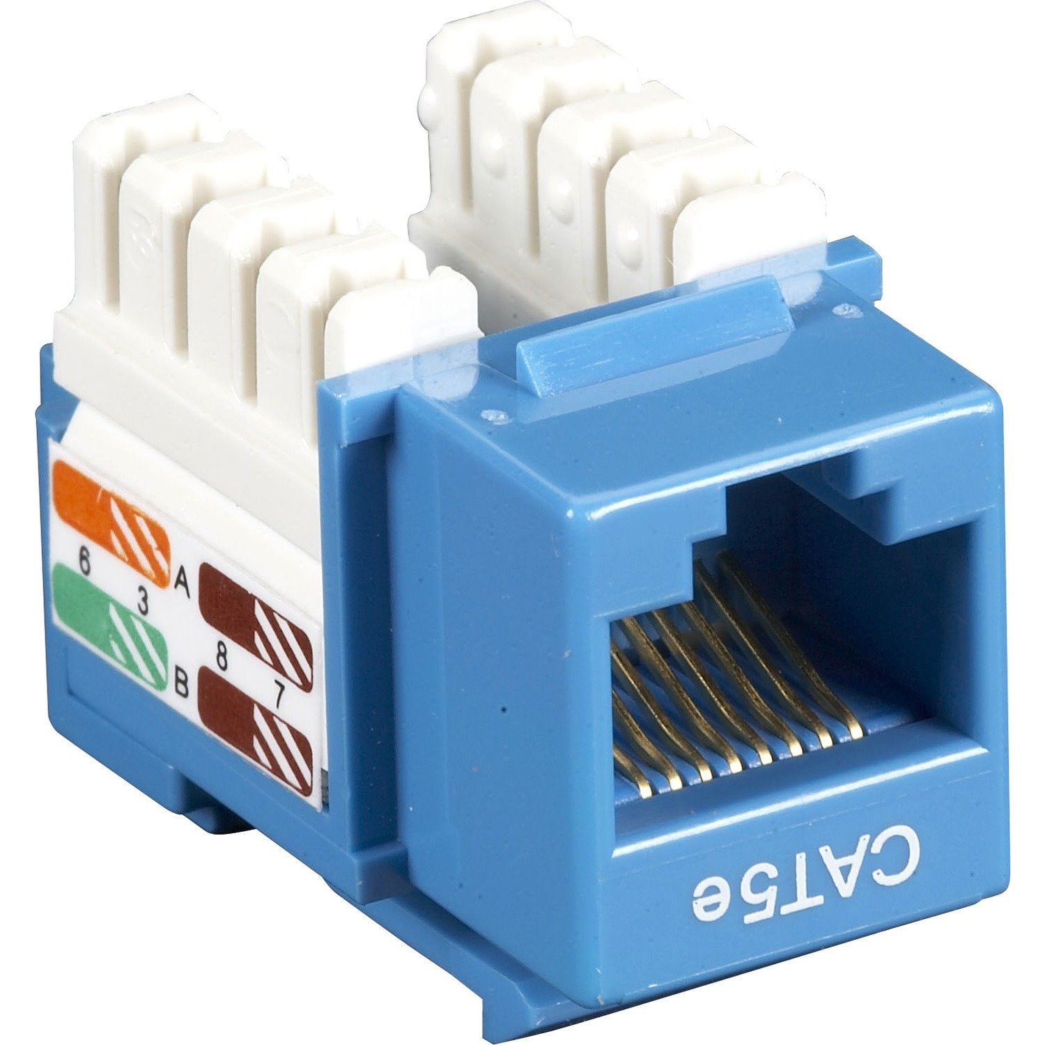 Black Box CAT5e Value Line Keystone Jack, Blue