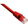 Axiom 100FT CAT6A 650mhz Patch Cable Molded Boot (Red)