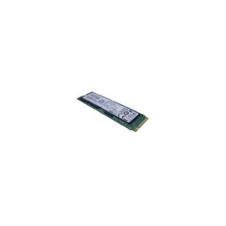 Lenovo 256 GB Solid State Drive - M.2 2280 Internal - SATA (SATA/600)