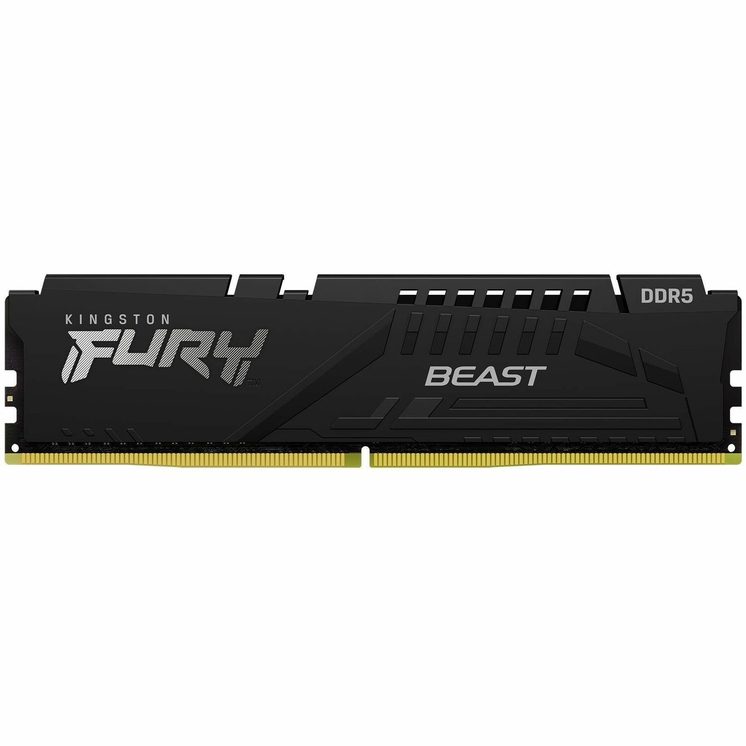 Kingston FURY Beast 16GB DDR5 SDRAM Memory Module