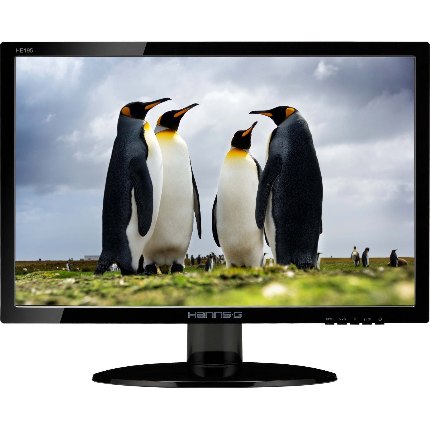 Hanns.G HE195ANB 47 cm (18.5") WXGA LED LCD Monitor - 16:9 - Glossy Black