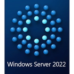 Microsoft Windows Server 2022 Standard 64-bit - License - 16 Core