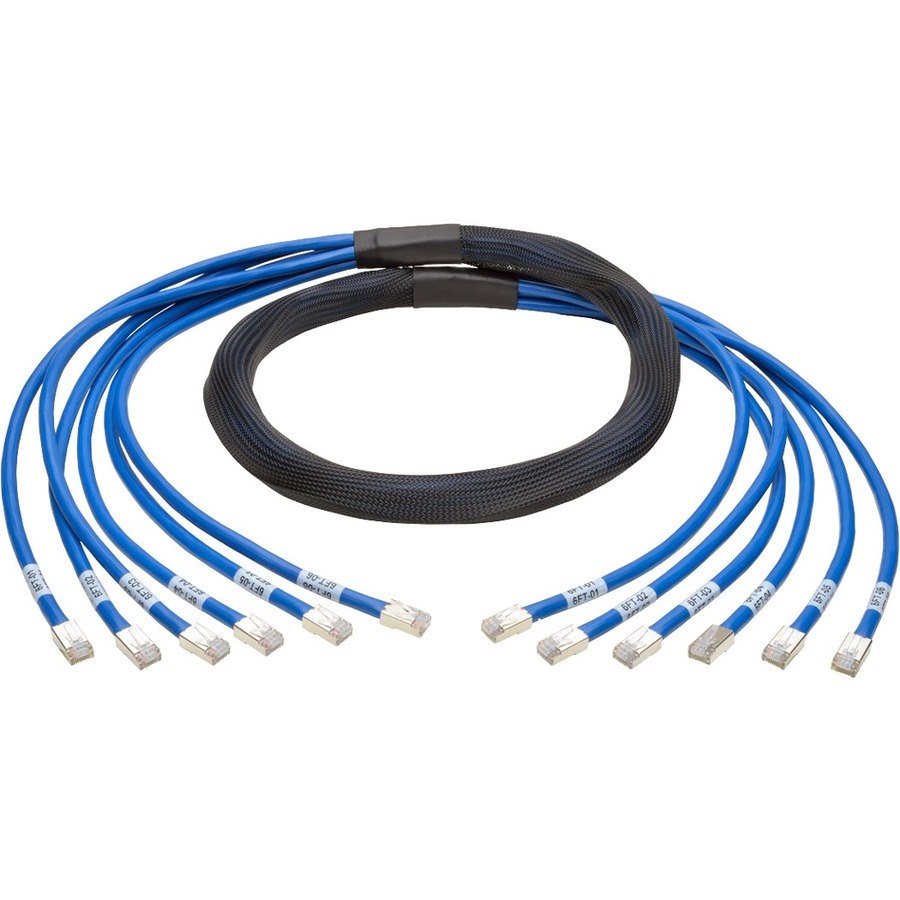 Eaton Tripp Lite Series Cat6a 10G Pre-Terminated Copper Trunk Assembly (6x RJ45 M/M), Blue, 6 ft. (1.83 m)