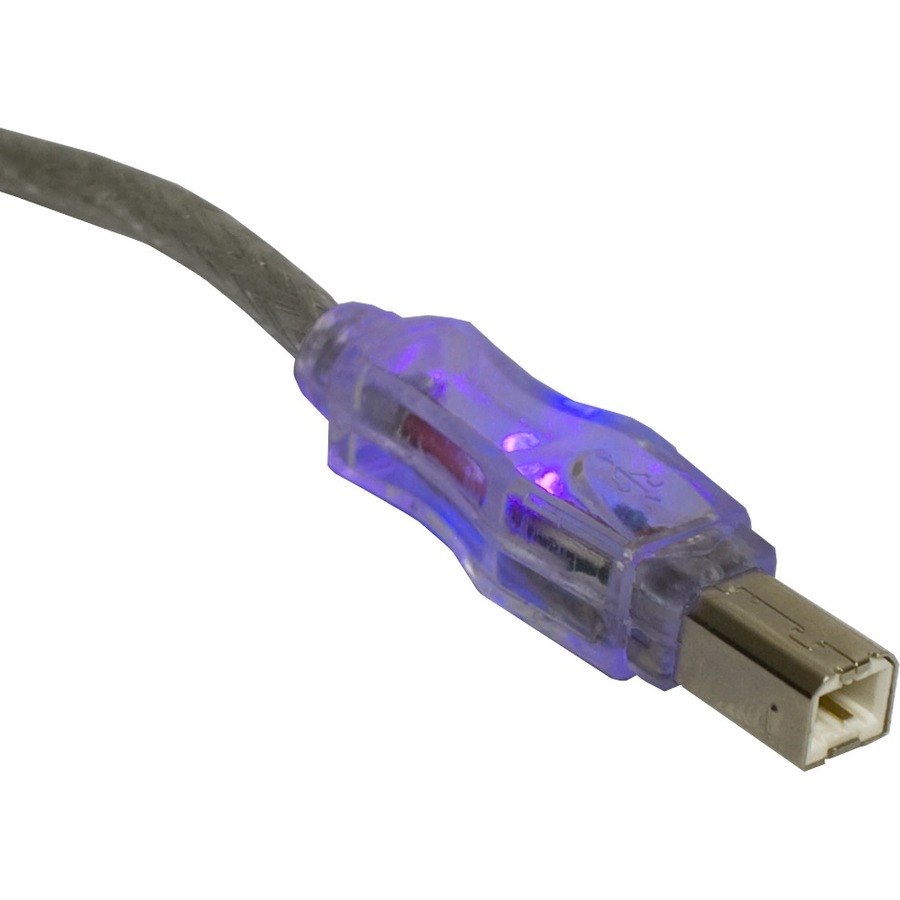 QVS USB 2.0 480Mbps Type A Male to B Male Translucent Cable with LEDs