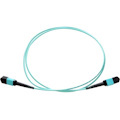 Axiom MPO Female to MPO Female Multimode OM3 50/125 Fiber Optic Cable - 5m