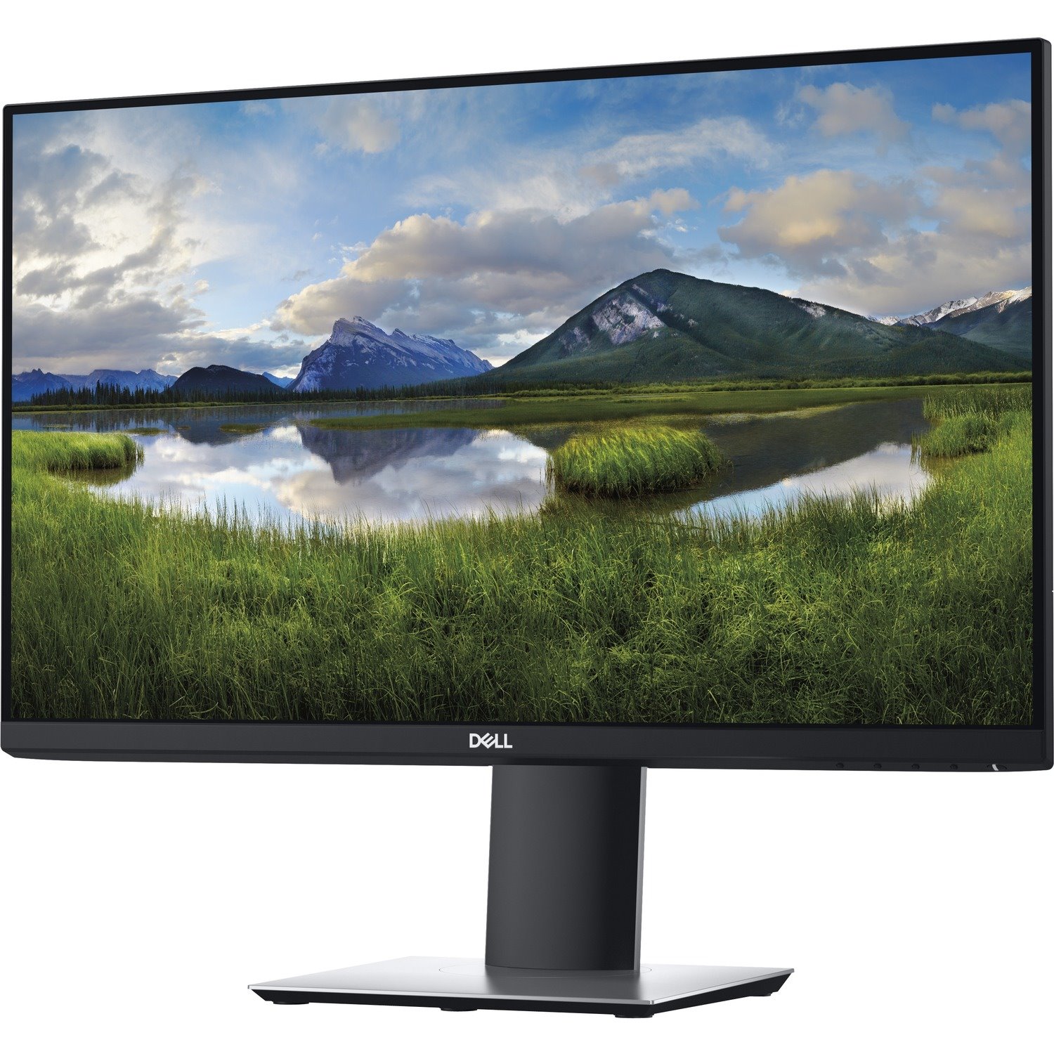 Dell P2419H 24" Class Full HD LCD Monitor - 16:9 - Black, Gray