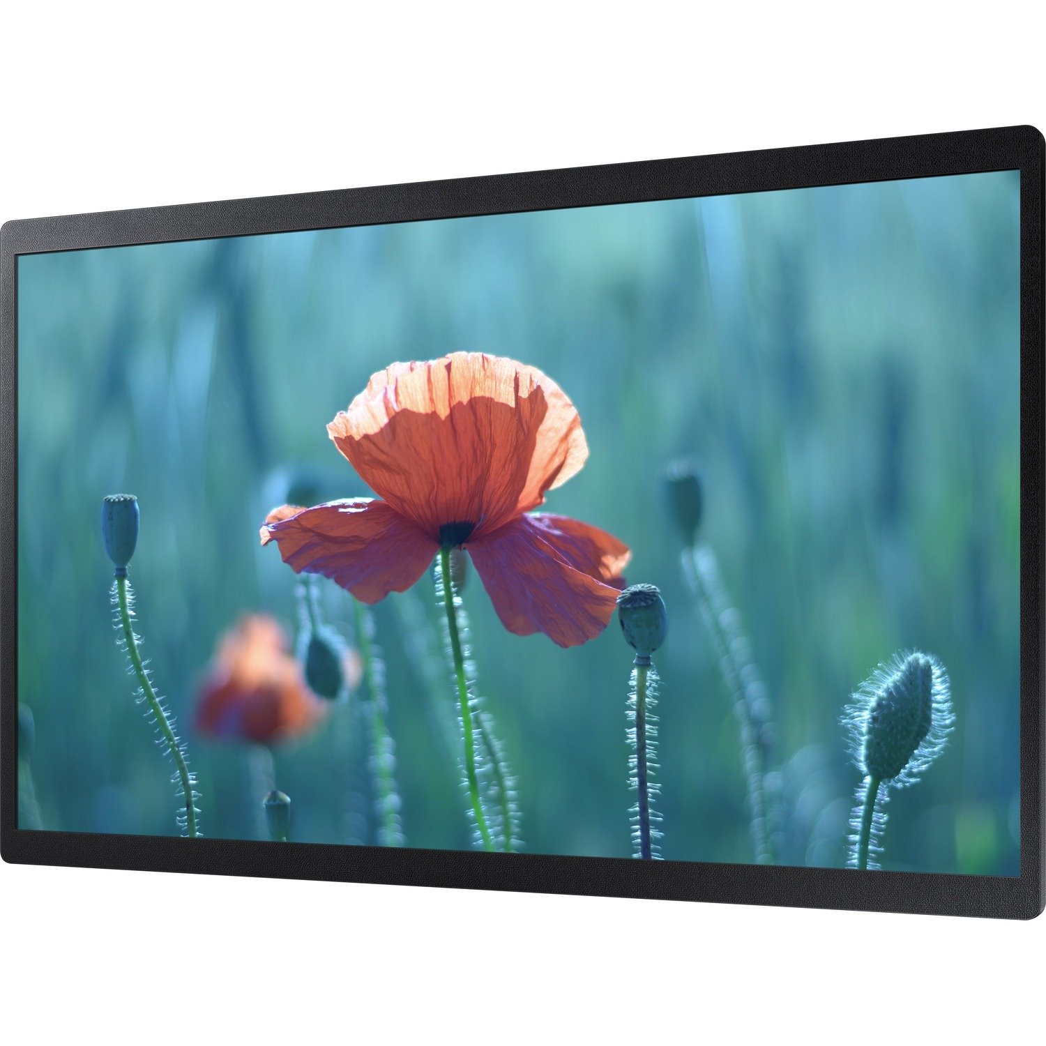 Samsung QB24R-B 60.5 cm (23.8") LCD Digital Signage Display - 16 Hours/ 7 Days Operation