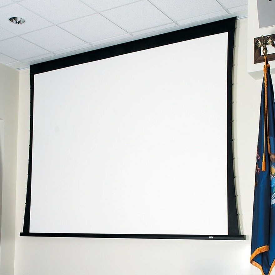 Draper Ultimate Access V 165" Electric Projection Screen