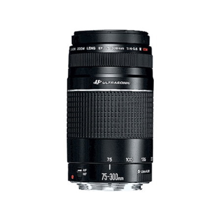 Canon EF C21-9891-201 - 75 mm to 300 mmf/5.6 - Telephoto Zoom Lens