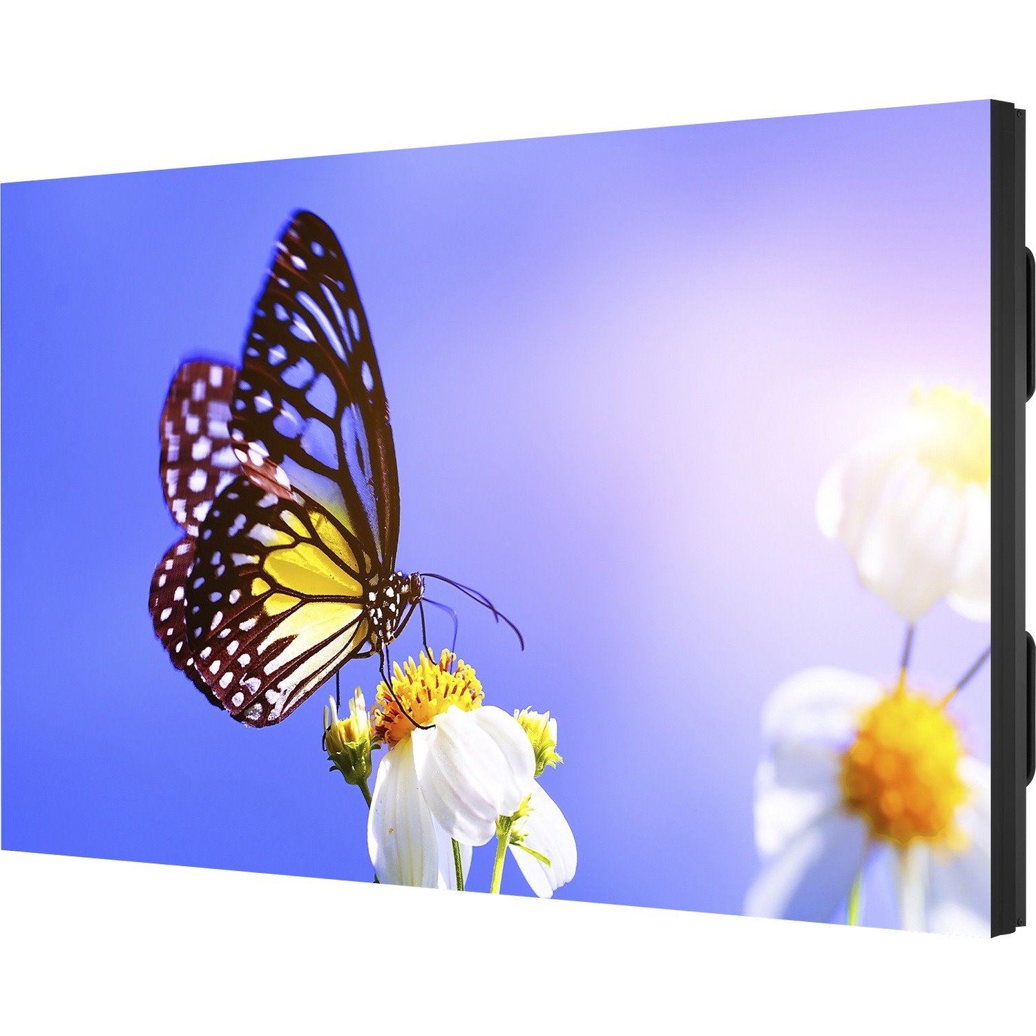 NEC Display 55" Ultra-Narrow Bezel 9 Display Video Wall