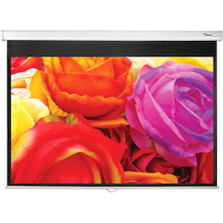 Optoma Manual DS-1123PMG+ 312.4 cm (123") Manual Projection Screen