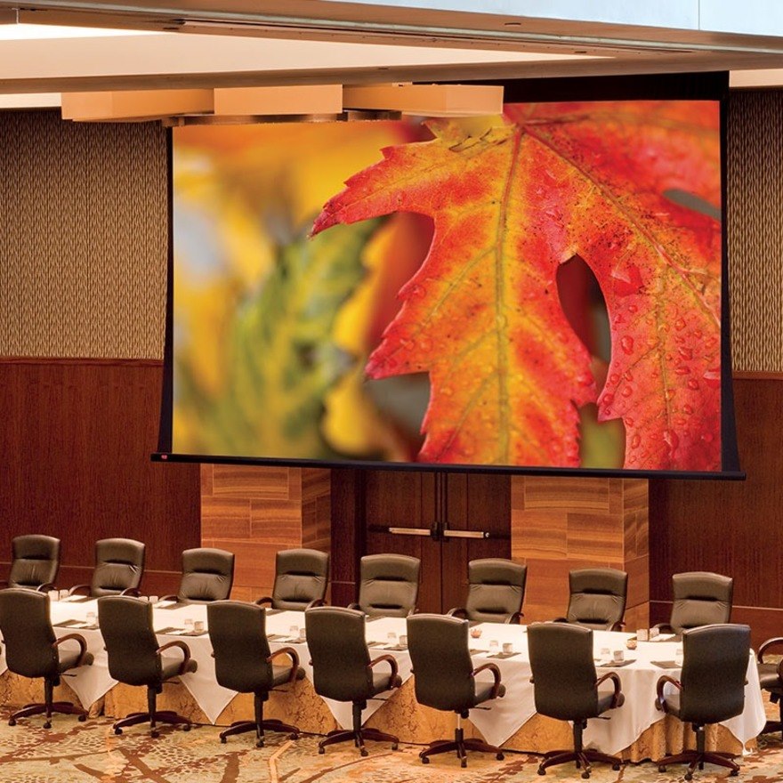 Draper Paragon V Projection Screen 234"