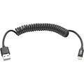 Eaton Tripp Lite Series USB-A to Lightning Sync/Charge Coiled Cable (M/M) - MFi Certified, Black, 4 ft. (1.2 m)