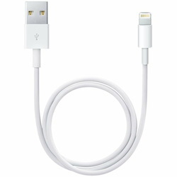 Apple 50 cm Lightning/USB Data Transfer Cable for iPad, iPod, iPhone