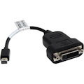 StarTech.com Mini DisplayPort to DVI Adapter, Active Mini DisplayPort to DVI-D Adapter Converter, 1080p Video, mDP to DVI Monitor/Display
