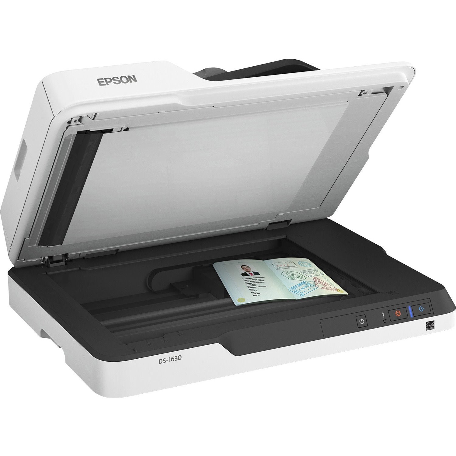 Epson WorkForce DS-1630 Flatbed Scanner - 600 dpi Optical