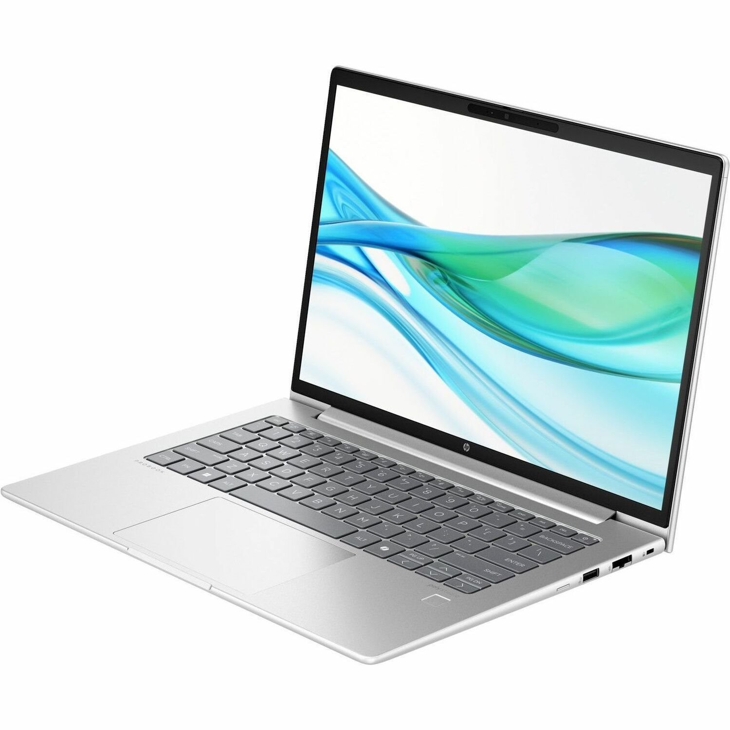 HP ProBook 440 G11 14" Notebook - WUXGA - Intel Core Ultra 5 125U - vPro Technology - 8 GB - 256 GB SSD - English Keyboard - Pike Silver