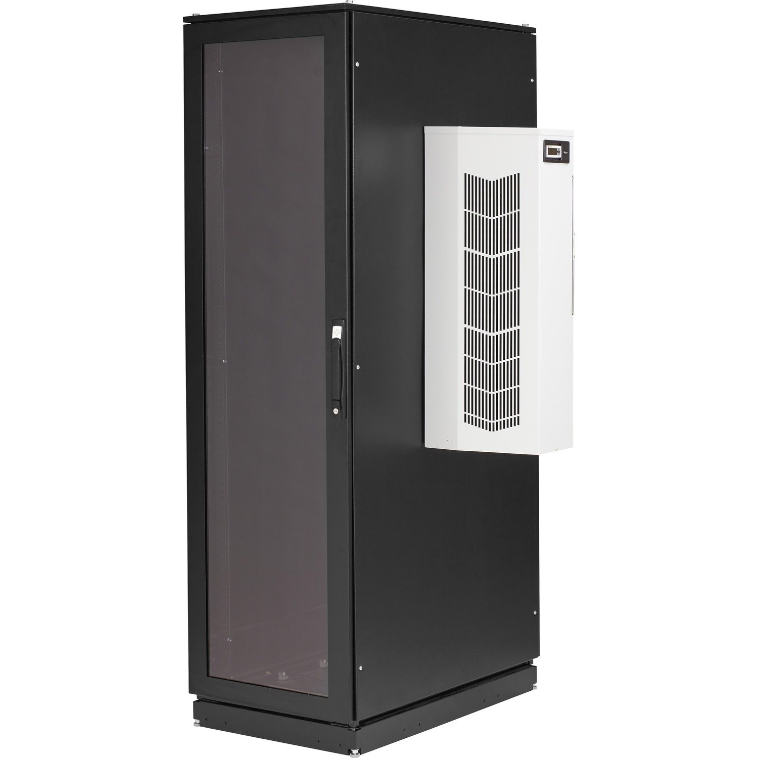 Black Box ClimateCab NEMA 12 Server Cabinet with 12000-BTU AC - 42U, M6 Rails, 110V