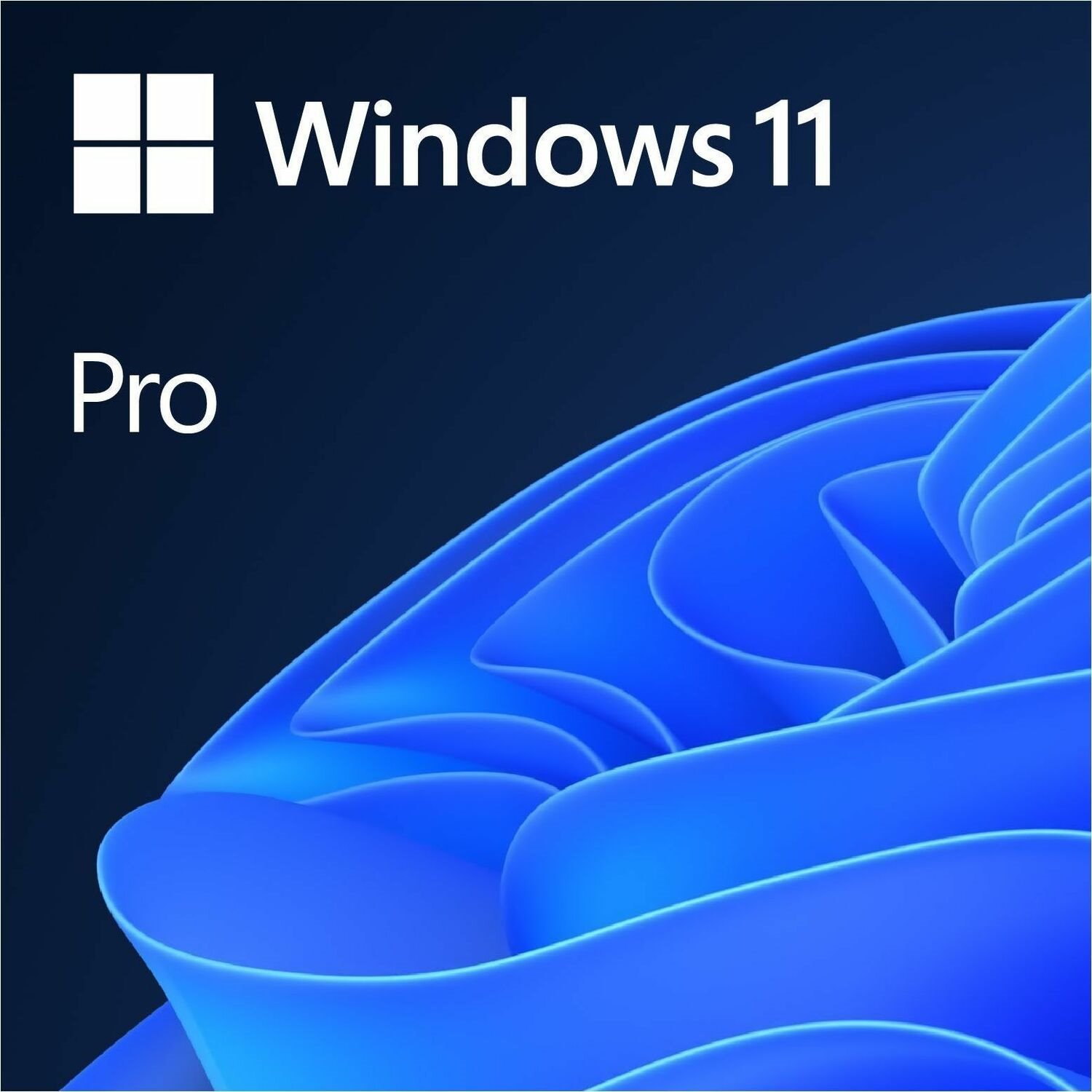 Microsoft Windows 11 Pro - License - 1 License