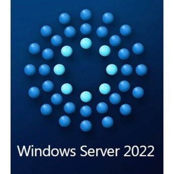 Microsoft Windows Server 2022 - License - 1 User CAL