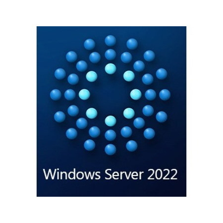 Microsoft Windows Server 2022 - License - 1 User CAL