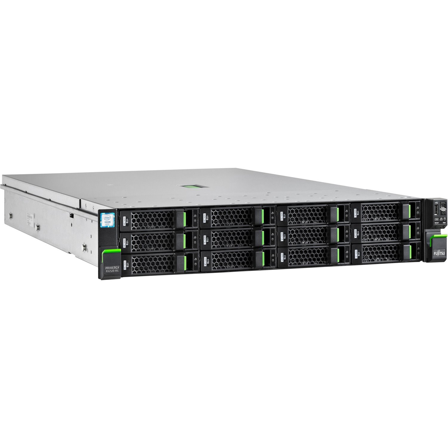 Fujitsu PRIMERGY RX2520 M5 2U Rack-mountable Server - 1 x Intel Xeon Silver 4208 - 16 GB RAM - Serial ATA/600 Controller