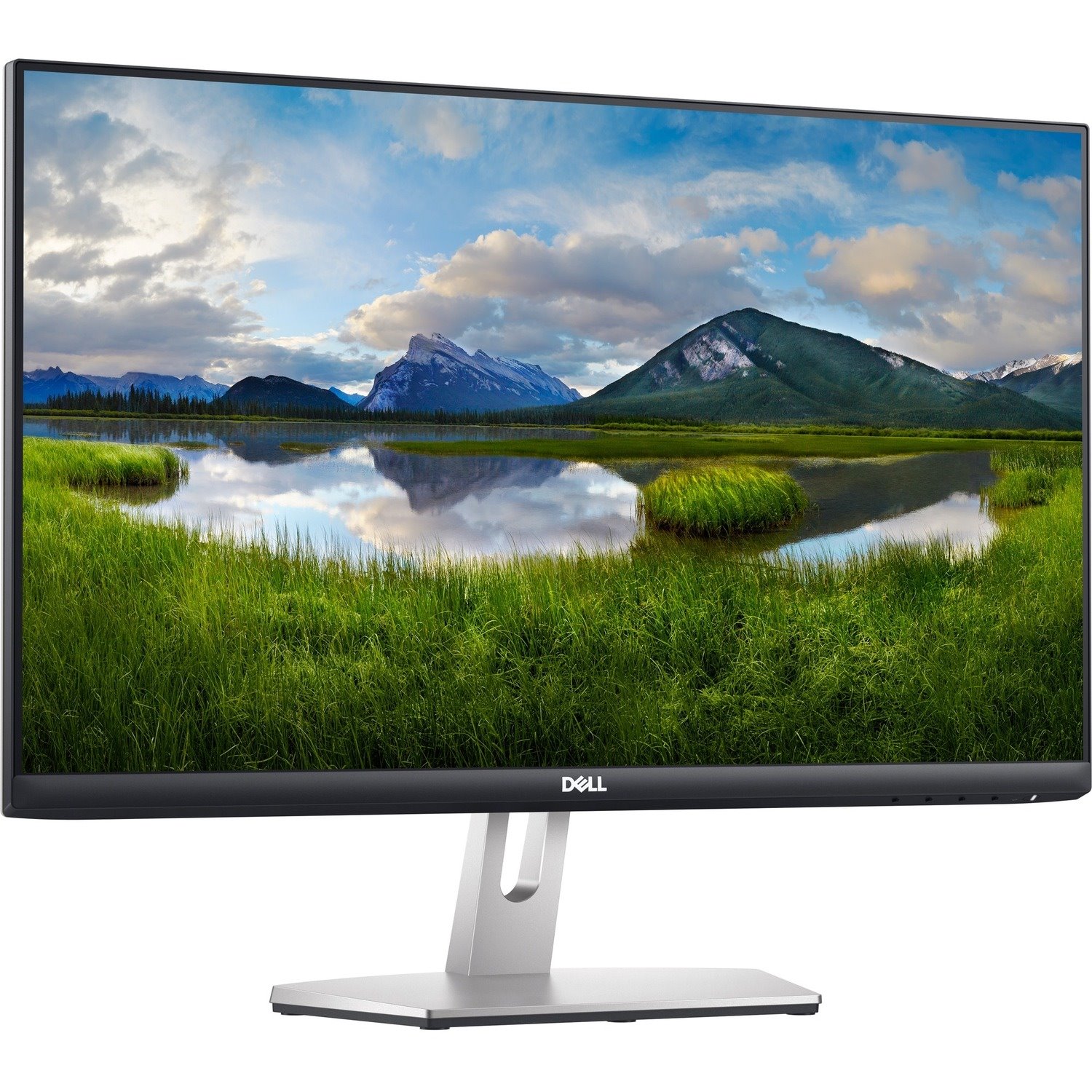 Dell S2421HN 24" Class Full HD LCD Monitor - 16:9 - Silver, Black