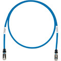 Panduit Category 6a Network Patch Cable