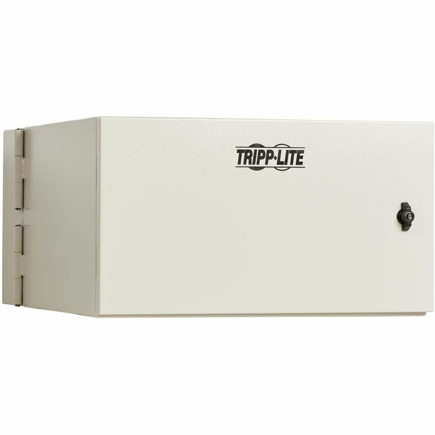 Tripp Lite by Eaton SmartRack Industrial Enclosure with Lock - NEMA 4, Wall Mount, Metal Construction, Hinged Back, 28 in. Depth, 6U, Gray