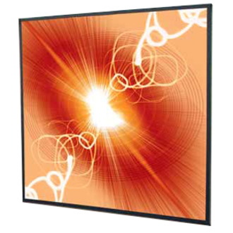 Draper Cineperm Manual Wall and Ceiling Projection Screen