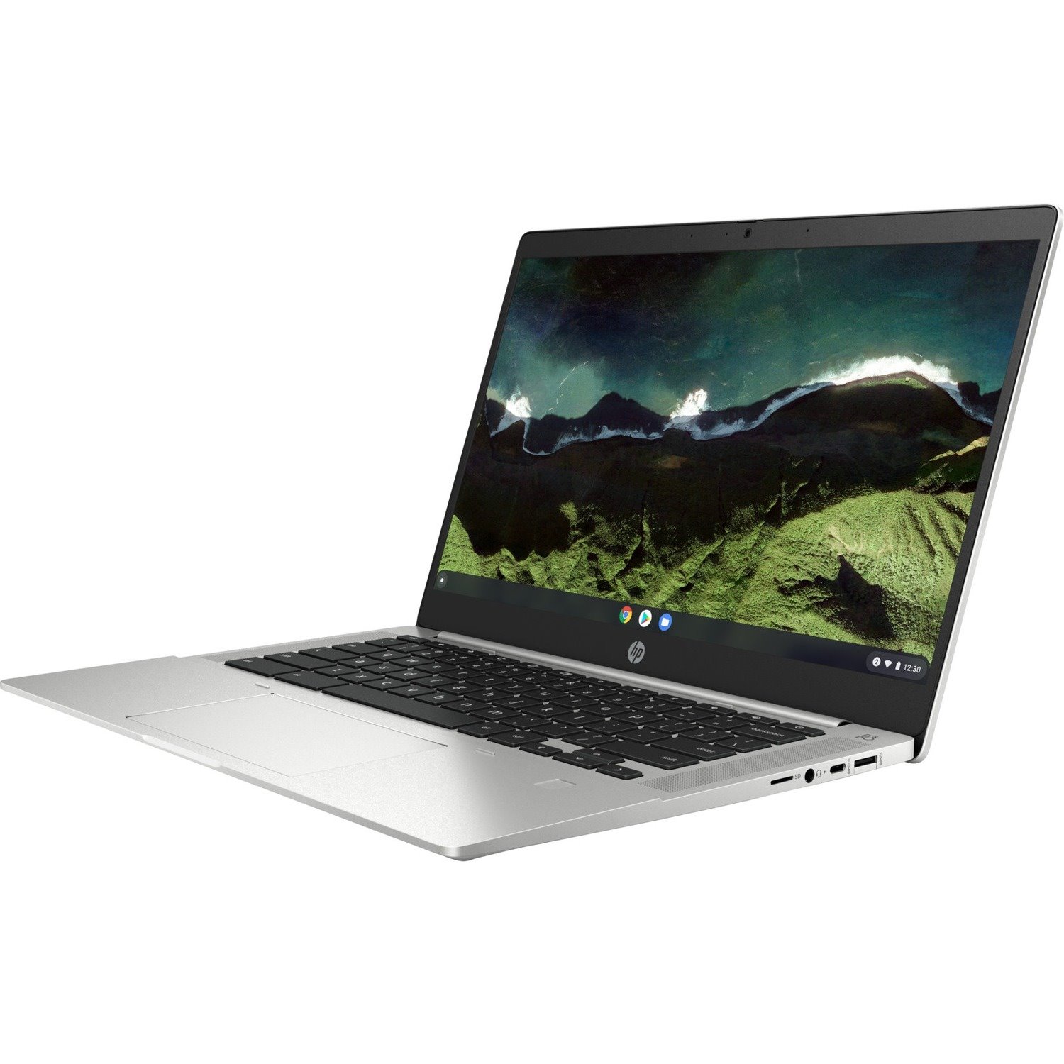 HP Pro c640 G2 Chromebook Enterprise 14" Chromebook - HD - 1366 x 768 - Intel Celeron 6305 Dual-core (2 Core) 1.80 GHz - 8 GB Total RAM - 64 GB Flash Memory - Pike Silver Aluminum