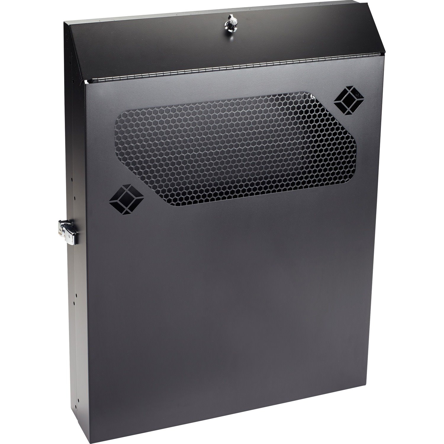 Black Box Low-Profile Vertical Wallmount Cabinet - 2U, 24" D Equipment