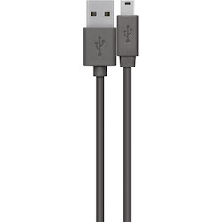 Belkin Mini USB/USB Data Transfer Cable