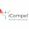 Black Box iCompel Video Streaming Client for MPEG/UDP/IP/Ethernet (Multicast) - License