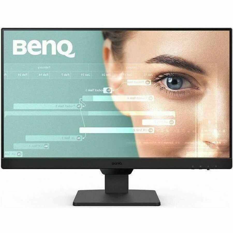 BenQ GW2490T 24" Class Full HD LED Monitor - 16:9