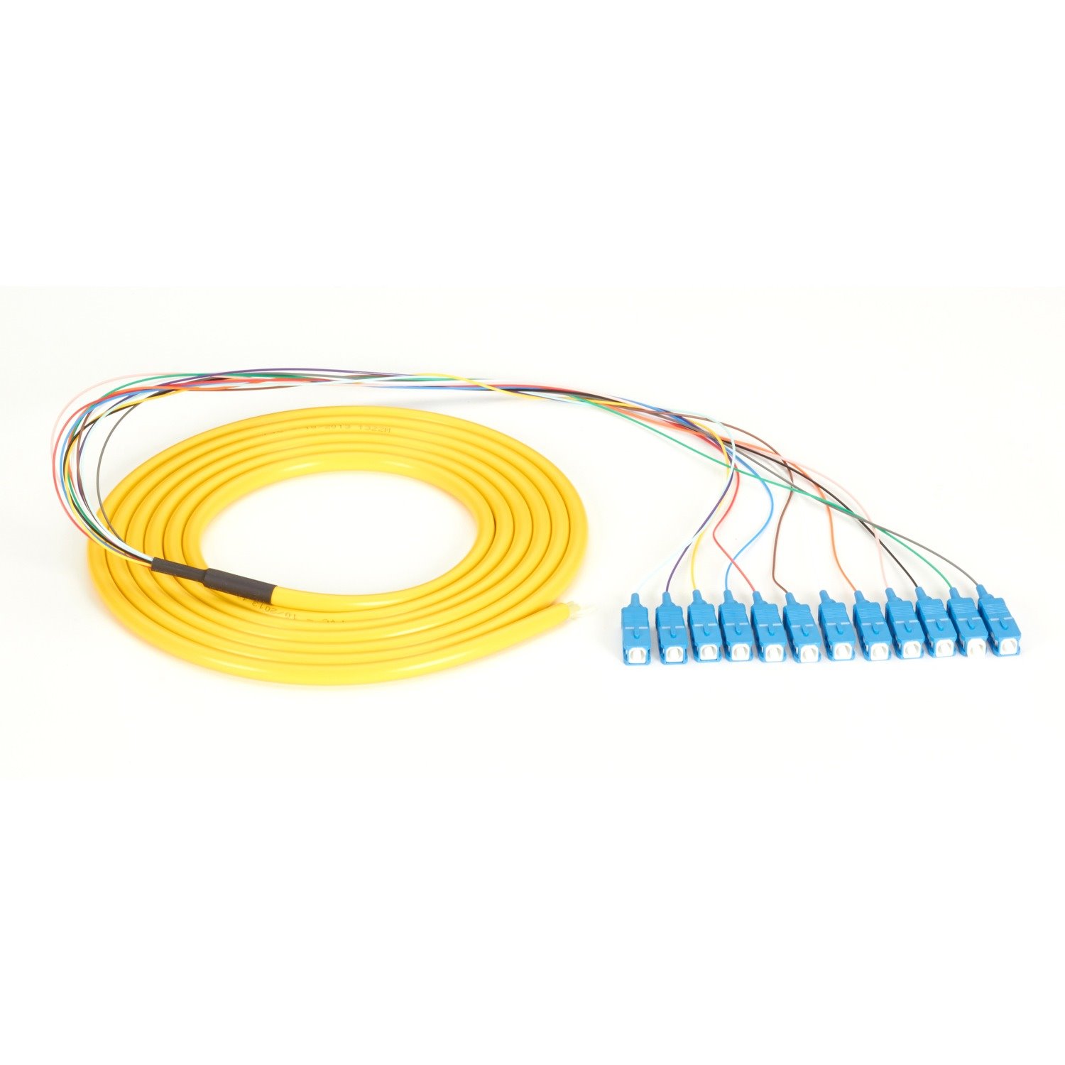 Black Box OS1 Single-Mode Fiber Optic Pigtail, 12-Strand, SC, Yellow, 3-m (9.8-ft)