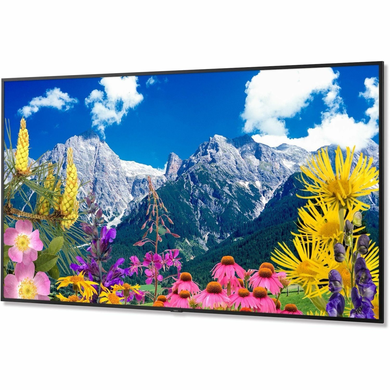 NEC Display 86" Ultra High Definition Professional Display with ATSC/NTSC Tuner